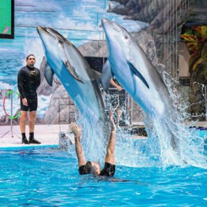 Dubai Dolphinarium